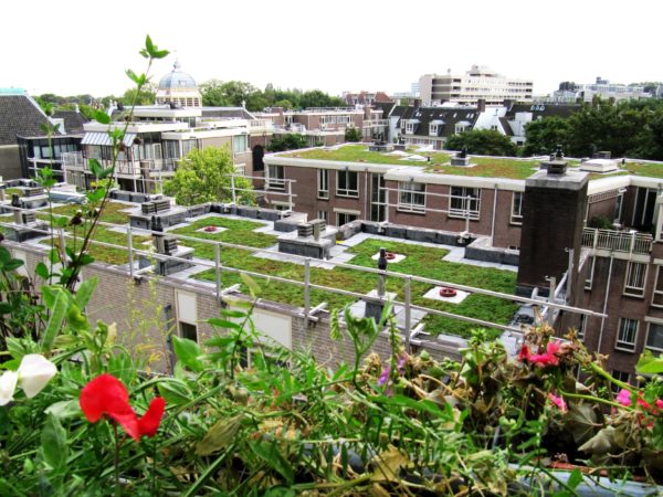 Subsidies Groendaken
