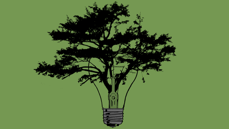 Renewable Energie